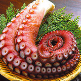 煮たこ足