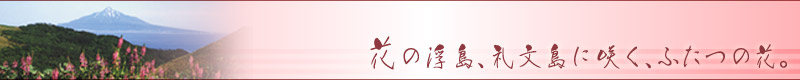 �z�e���Ɨ當�̃C���[�W