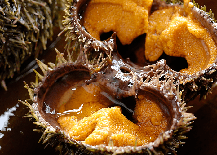 花れぶんの懐石料理