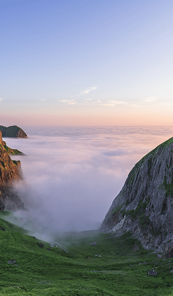 花の浮島 礼文島